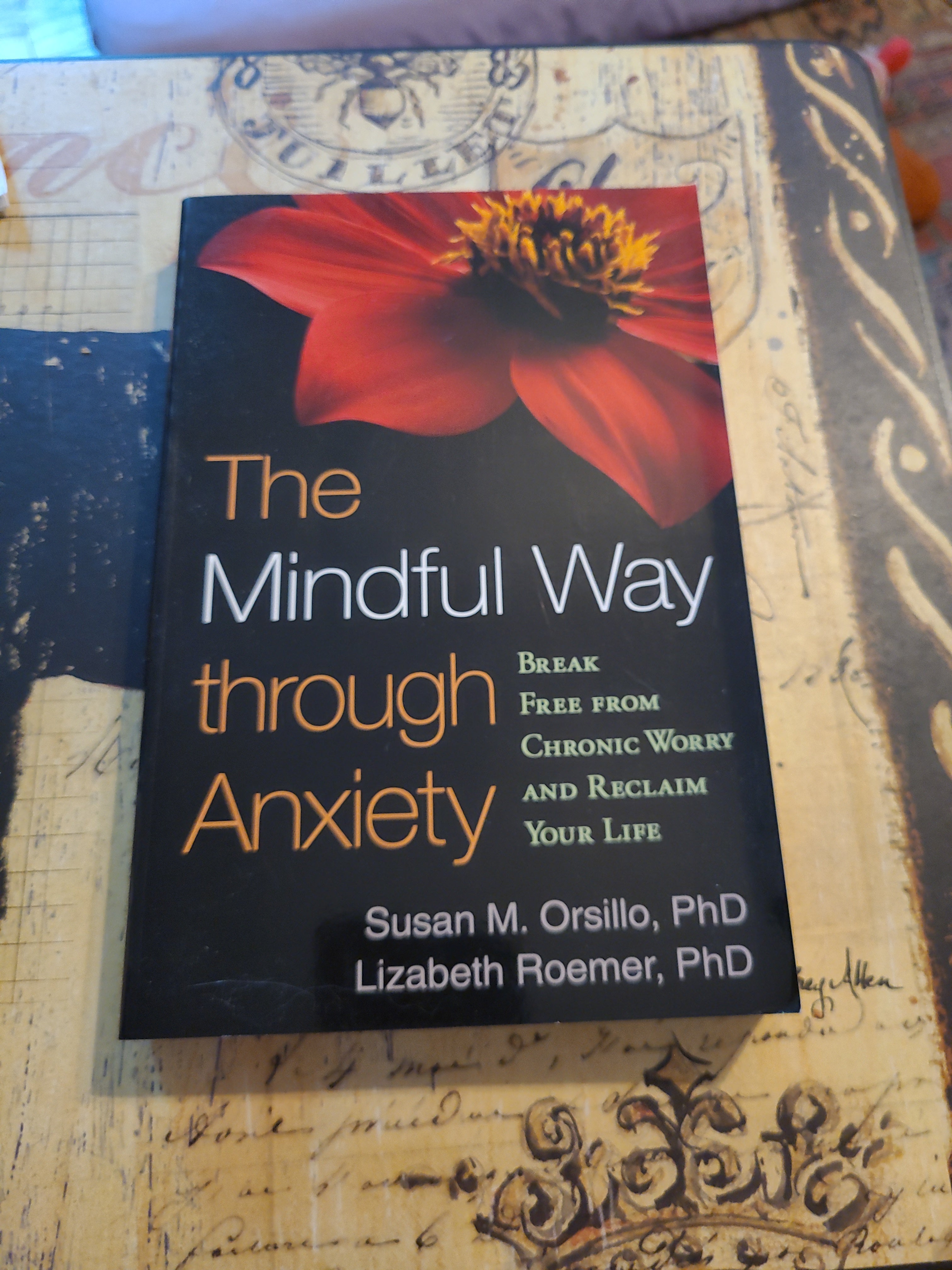 The Mindful Way Through Anxiety