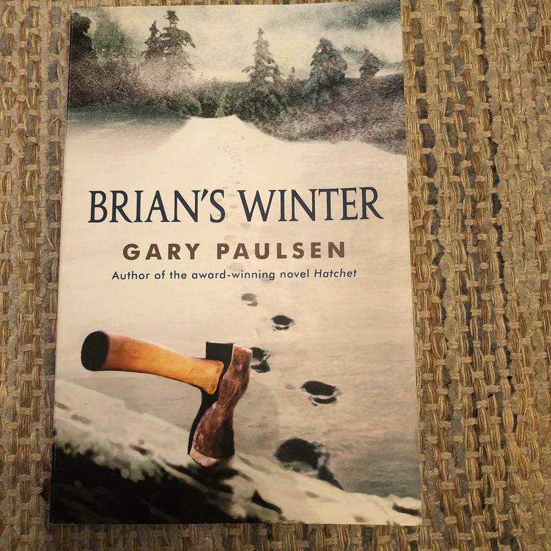 Brian's Winter