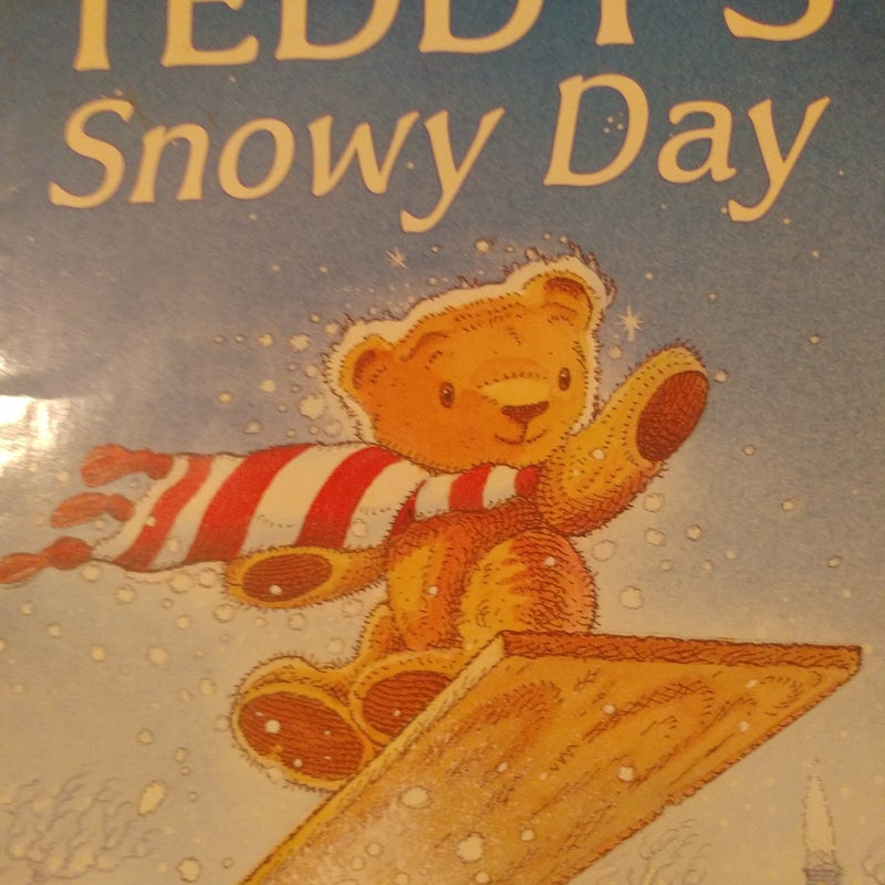 Teddys snowy Day