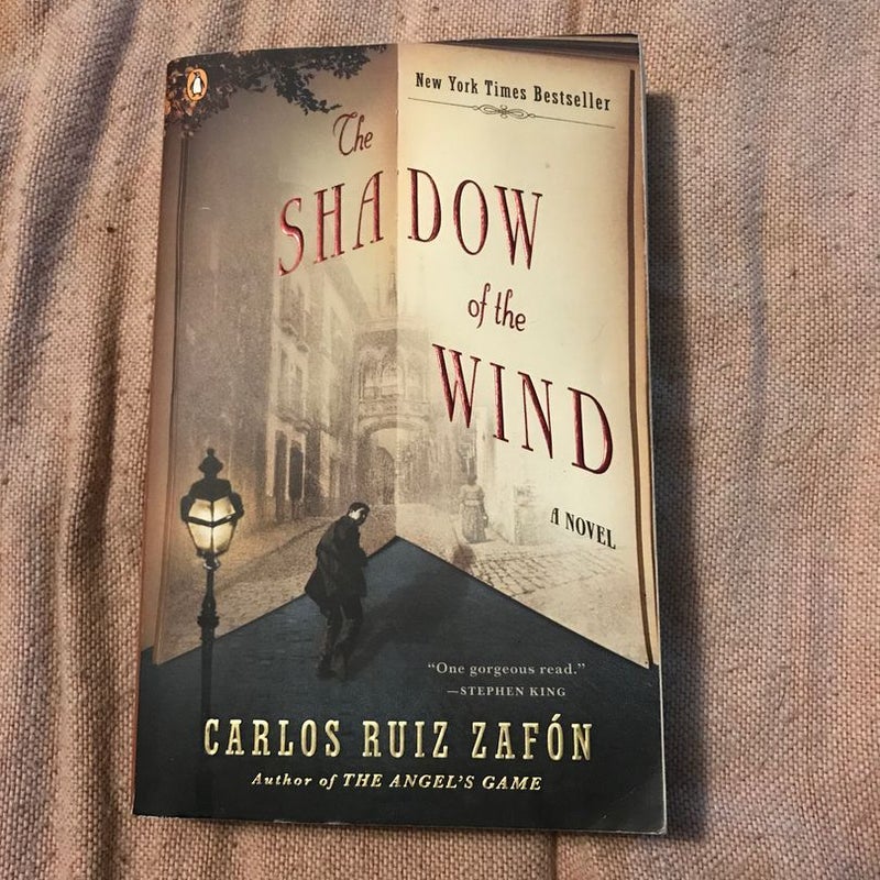 The Shadow of the Wind