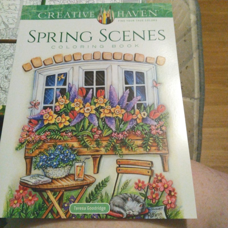 Creative Haven Spring Scenes Coloring Book