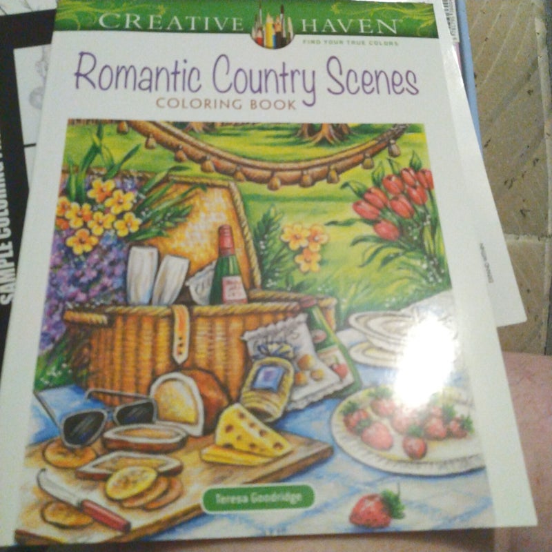 Creative Haven Romantic Country Scenes Coloring Book by Teresa Goodridge