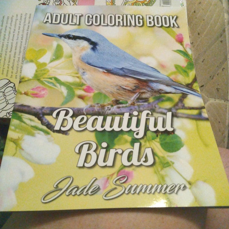 Beautiful Birds