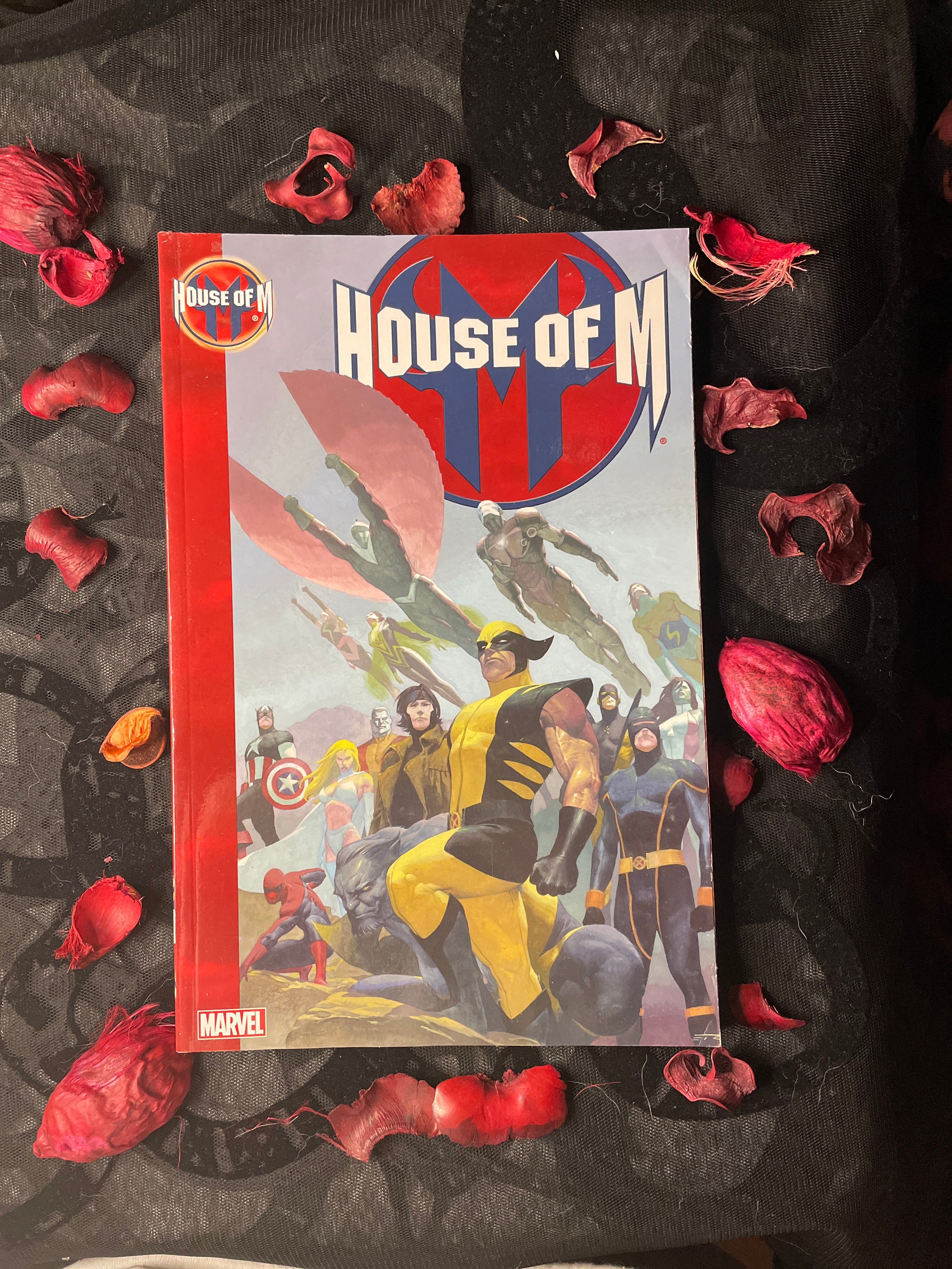 House of M