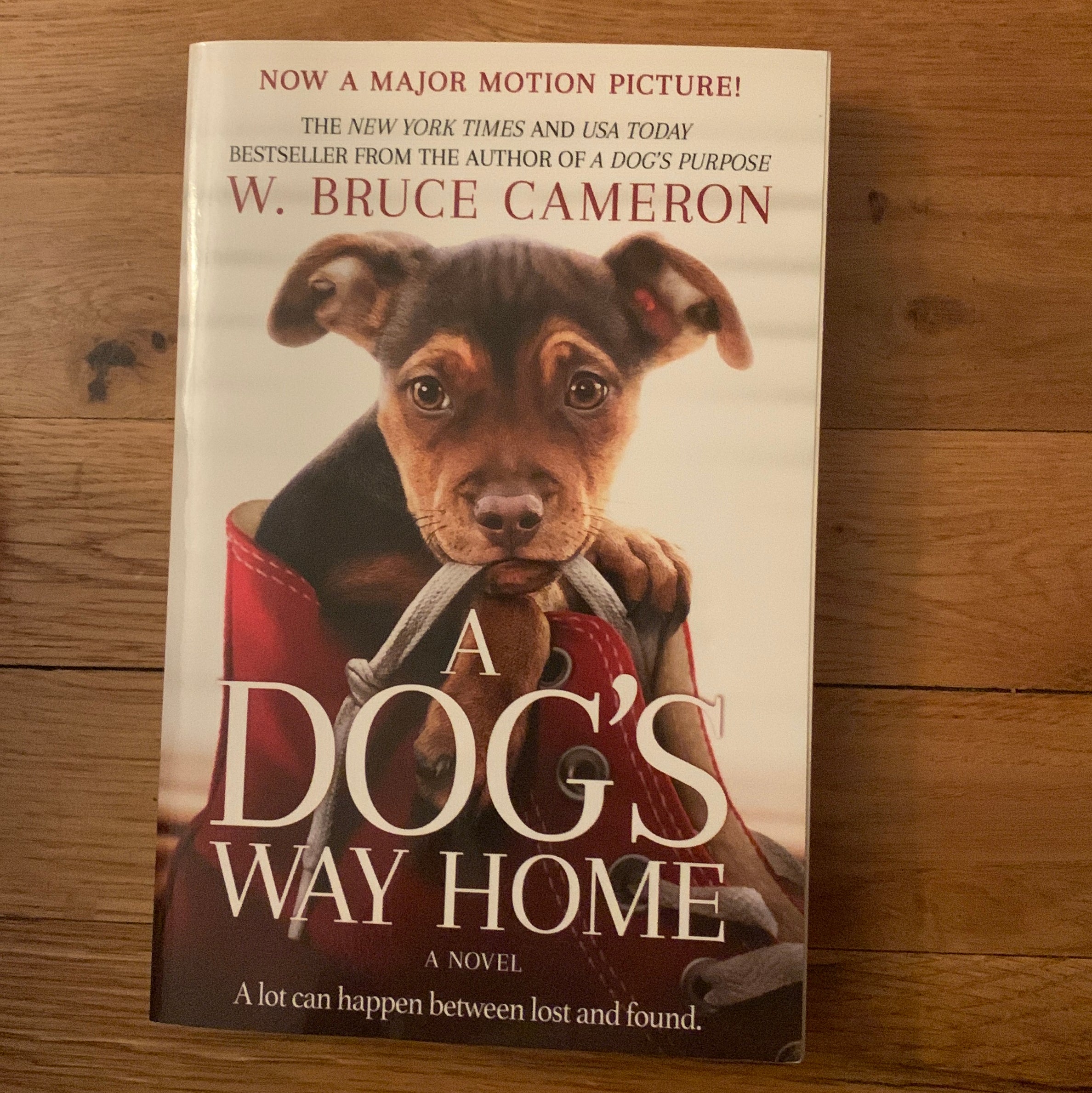 A Dog's Way Home Movie Tie-In