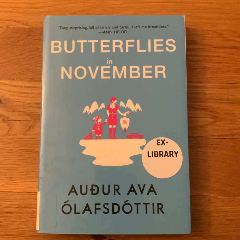 Butterflies in November