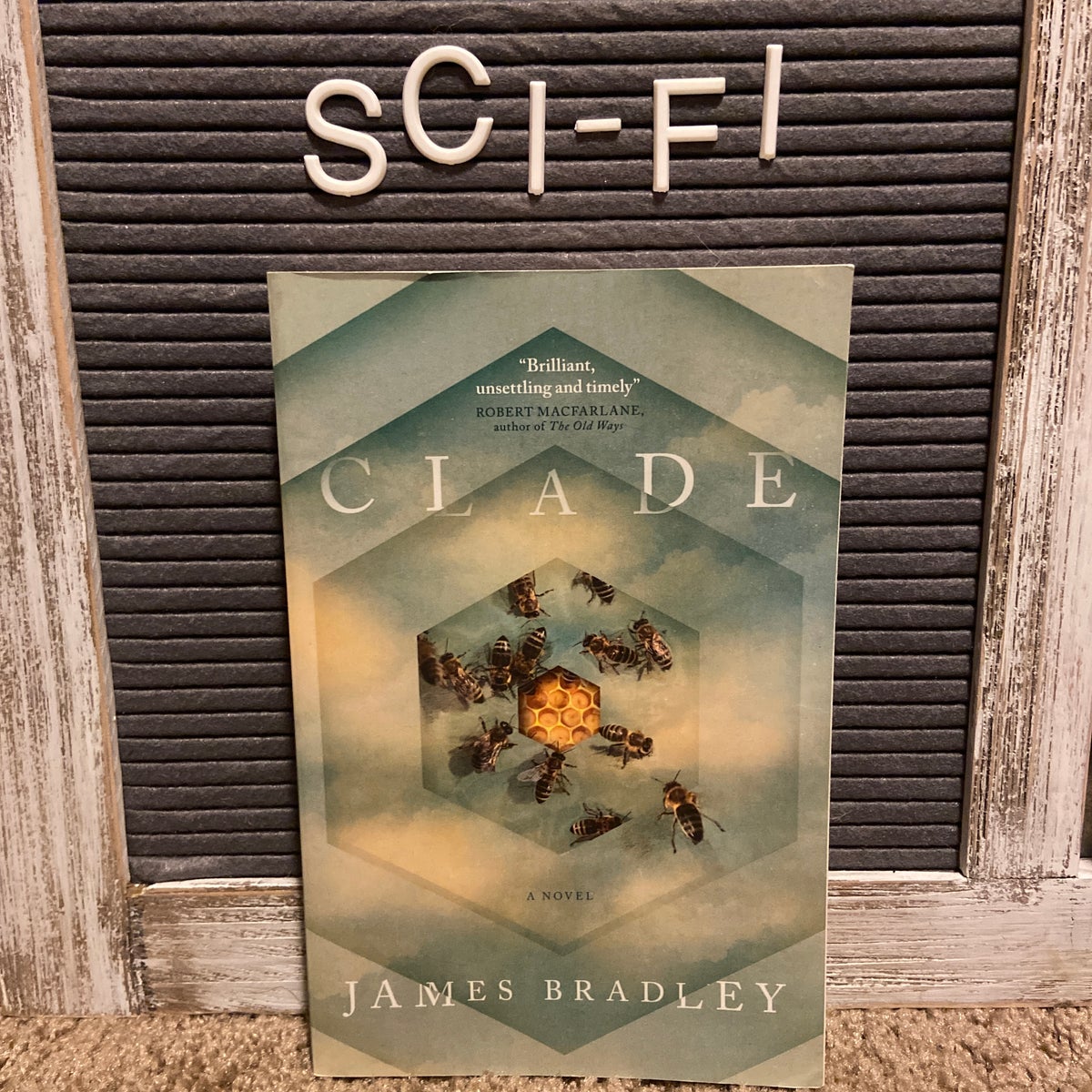 Clade by James Bradley Paperback Pangobooks