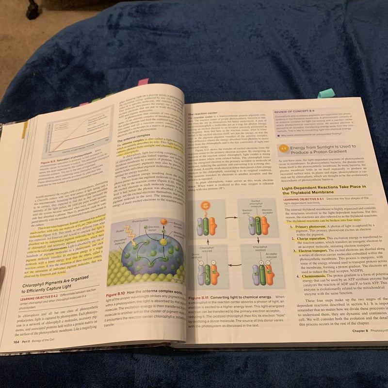 Understanding Biology (2nd ed) included with New Connect access code!!!