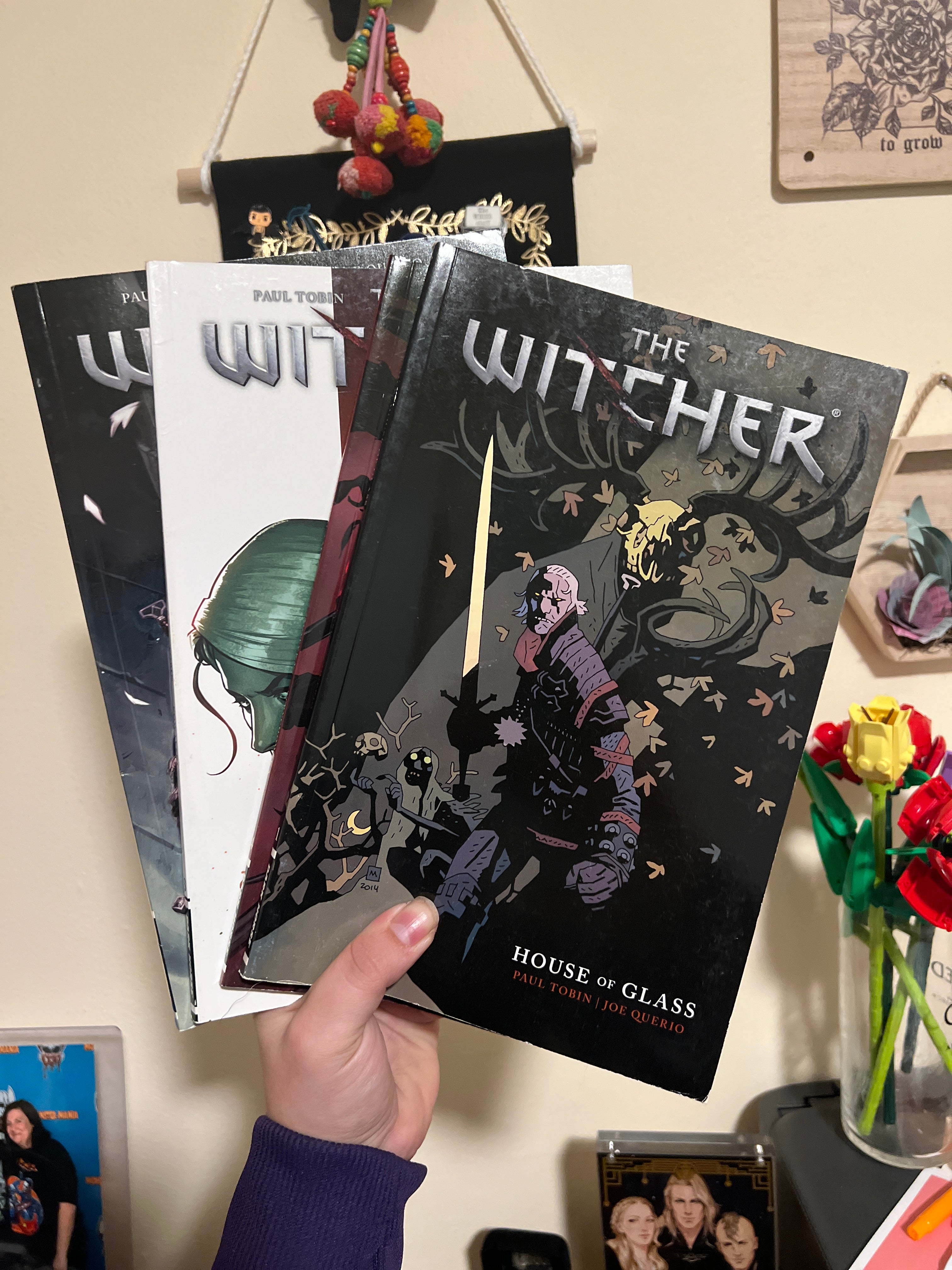 The Witcher Volume 1