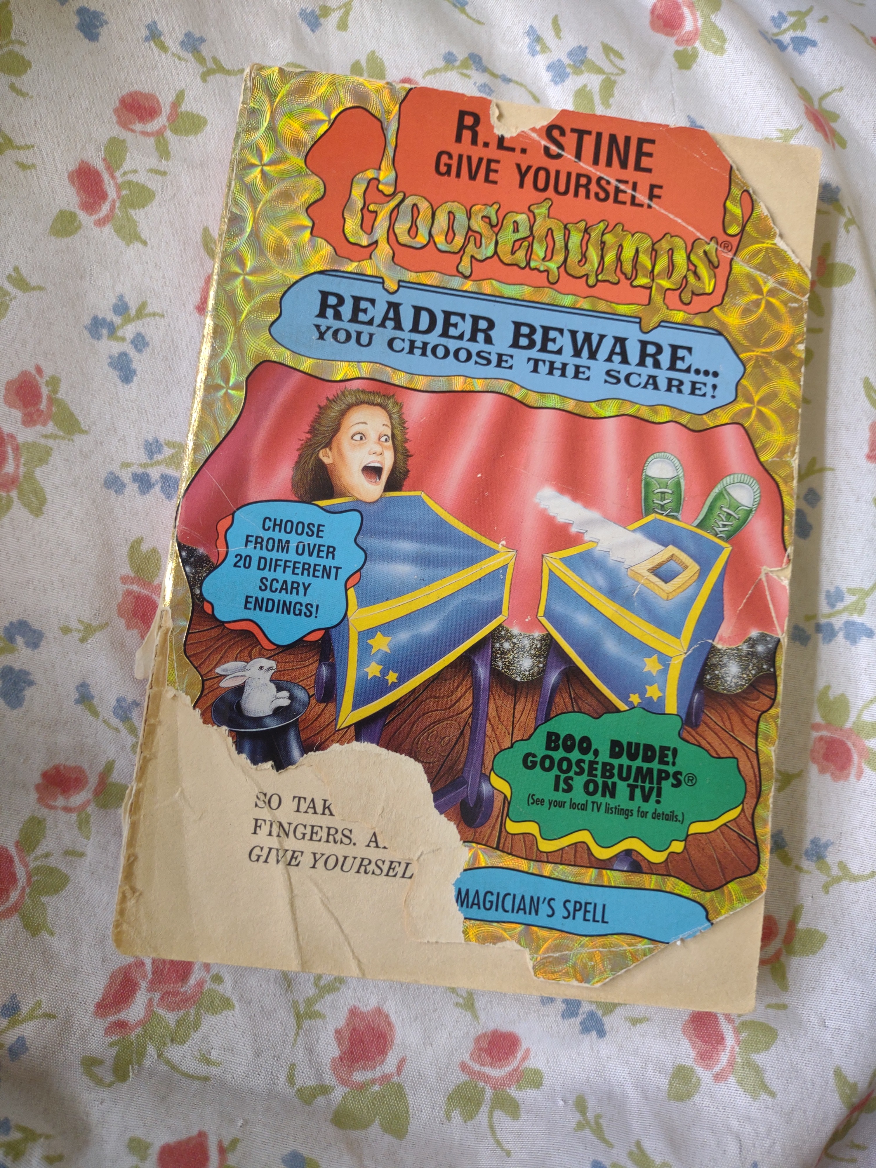 Under the Magician's Spell