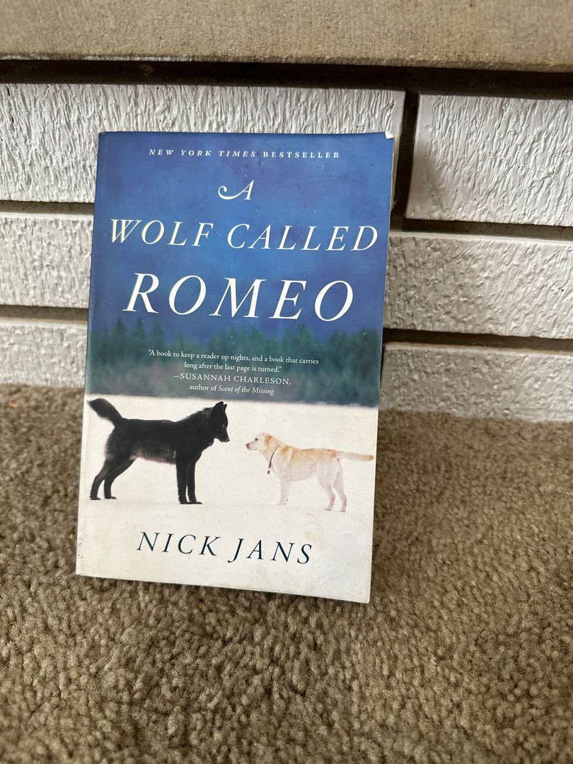 A Wolf Called Romeo