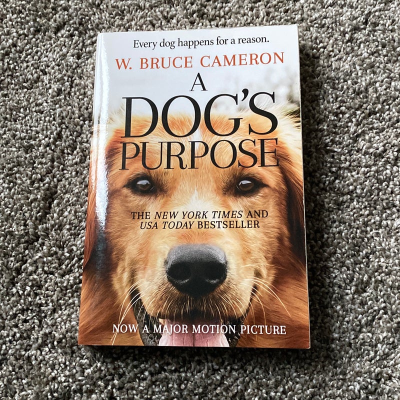 A dog's purpose