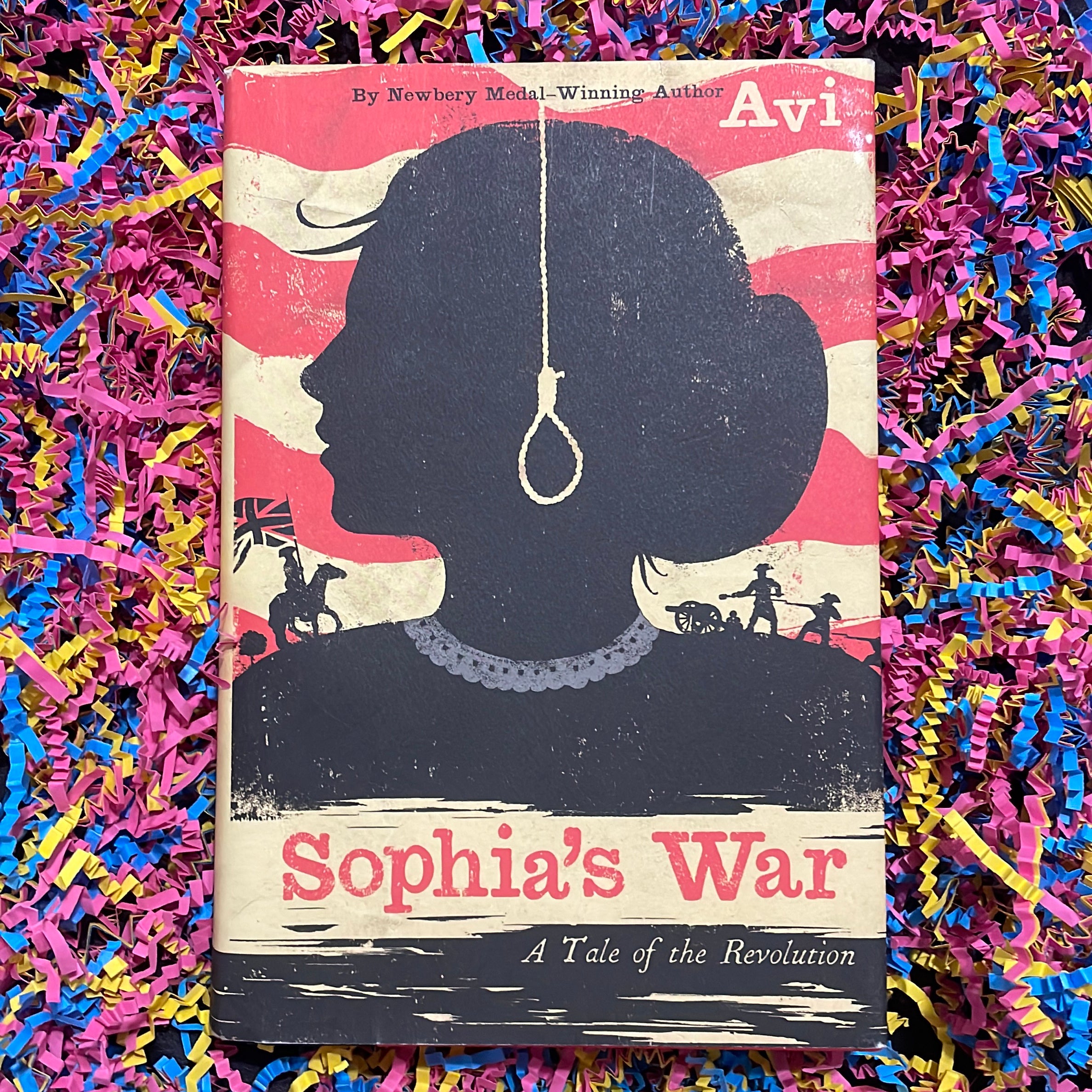 Sophia's War