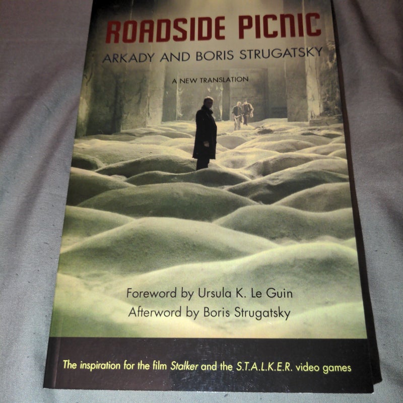 Roadside Picnic