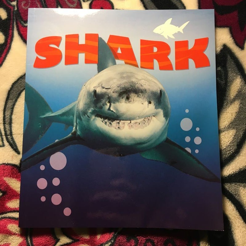 Discover Sharks - Pack Scholastic English Language