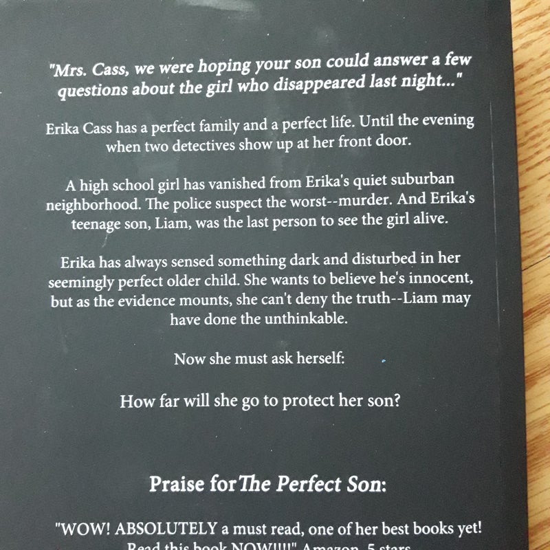 The Perfect Son by Freida McFadden Pangobooks