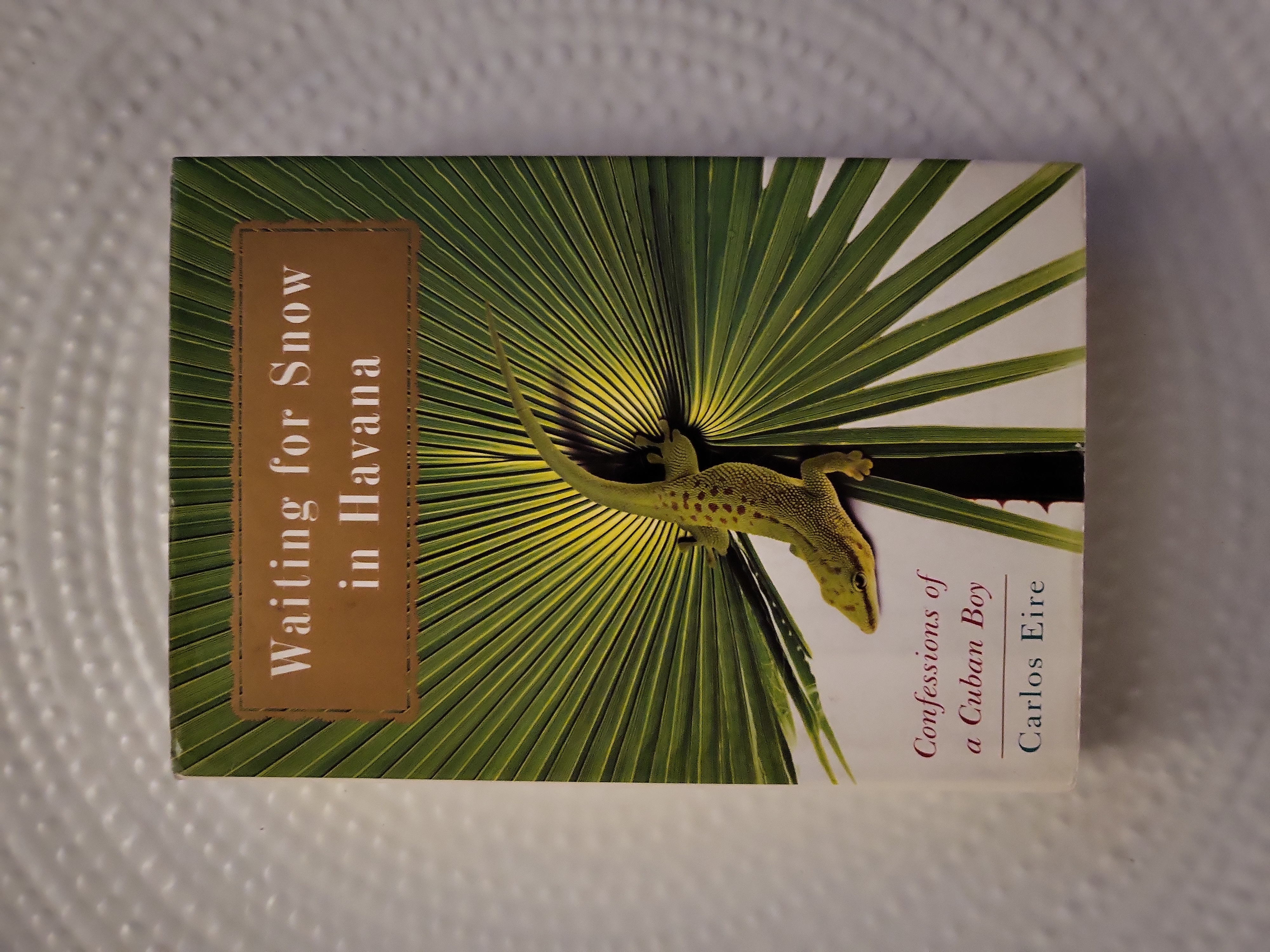 Waiting for Snow in Havana