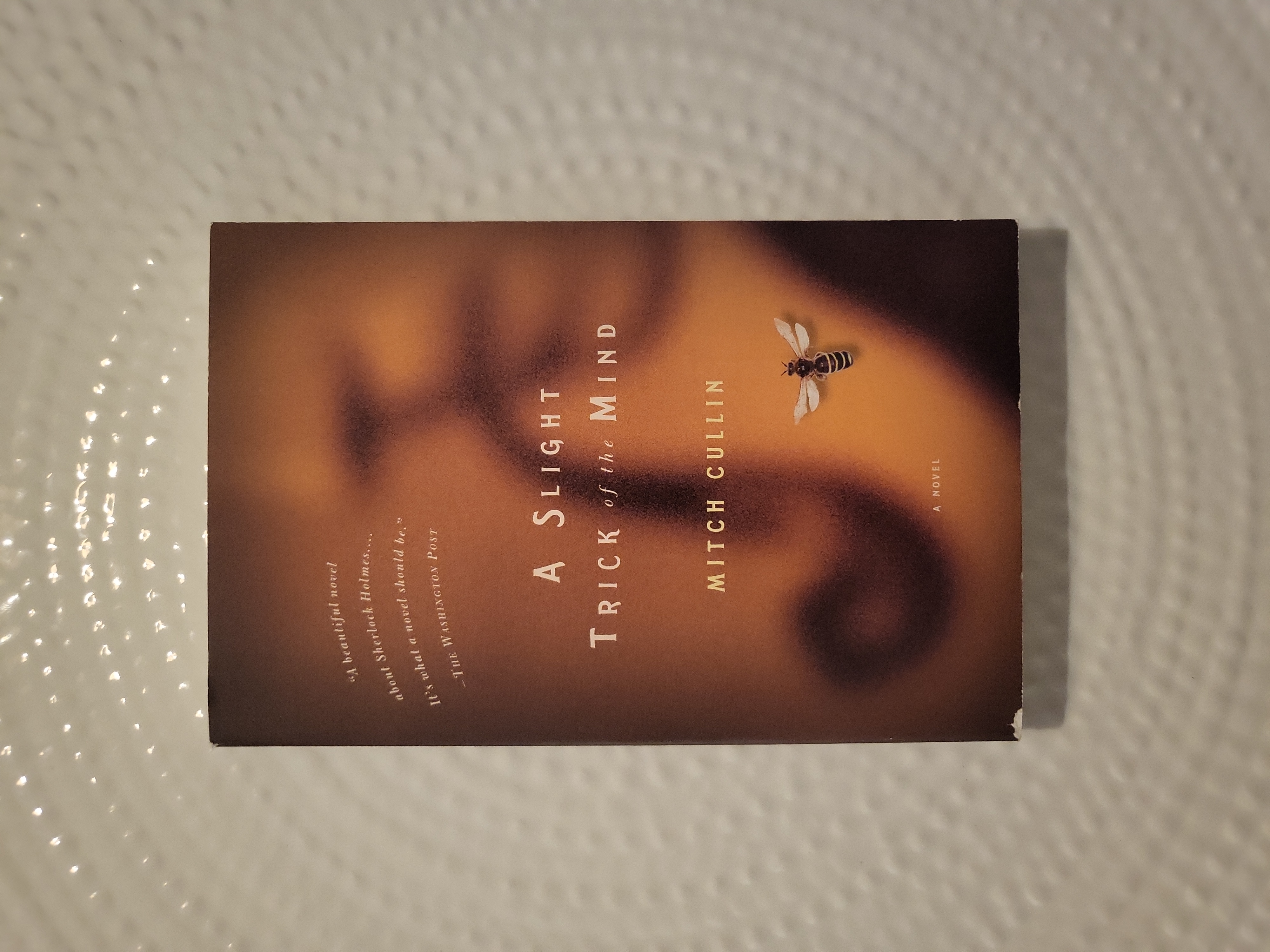 A Slight Trick of the Mind