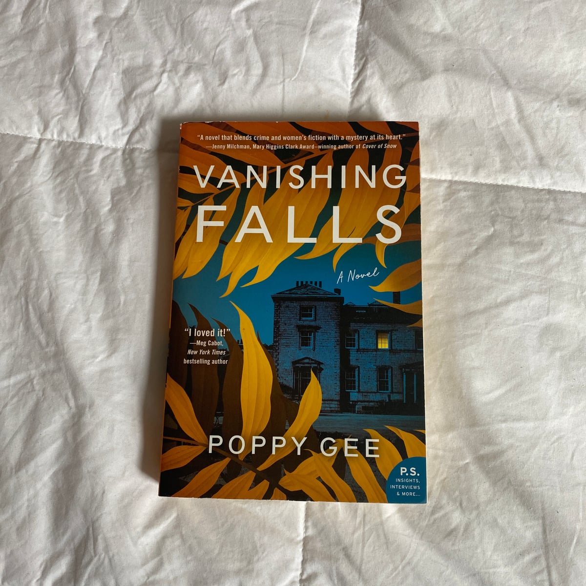Vanishing Falls by Poppy Gee
