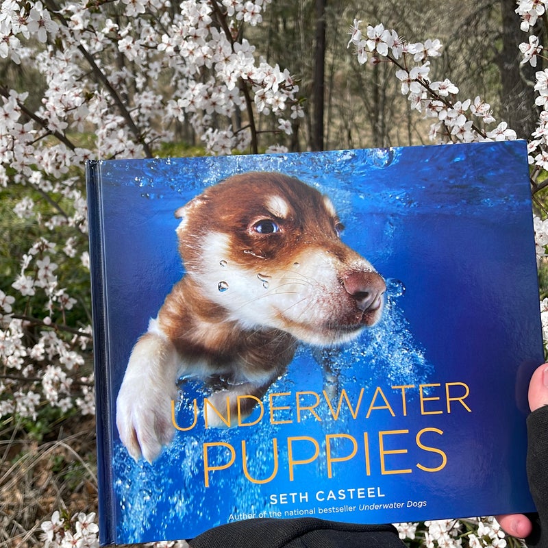 Underwater Puppies