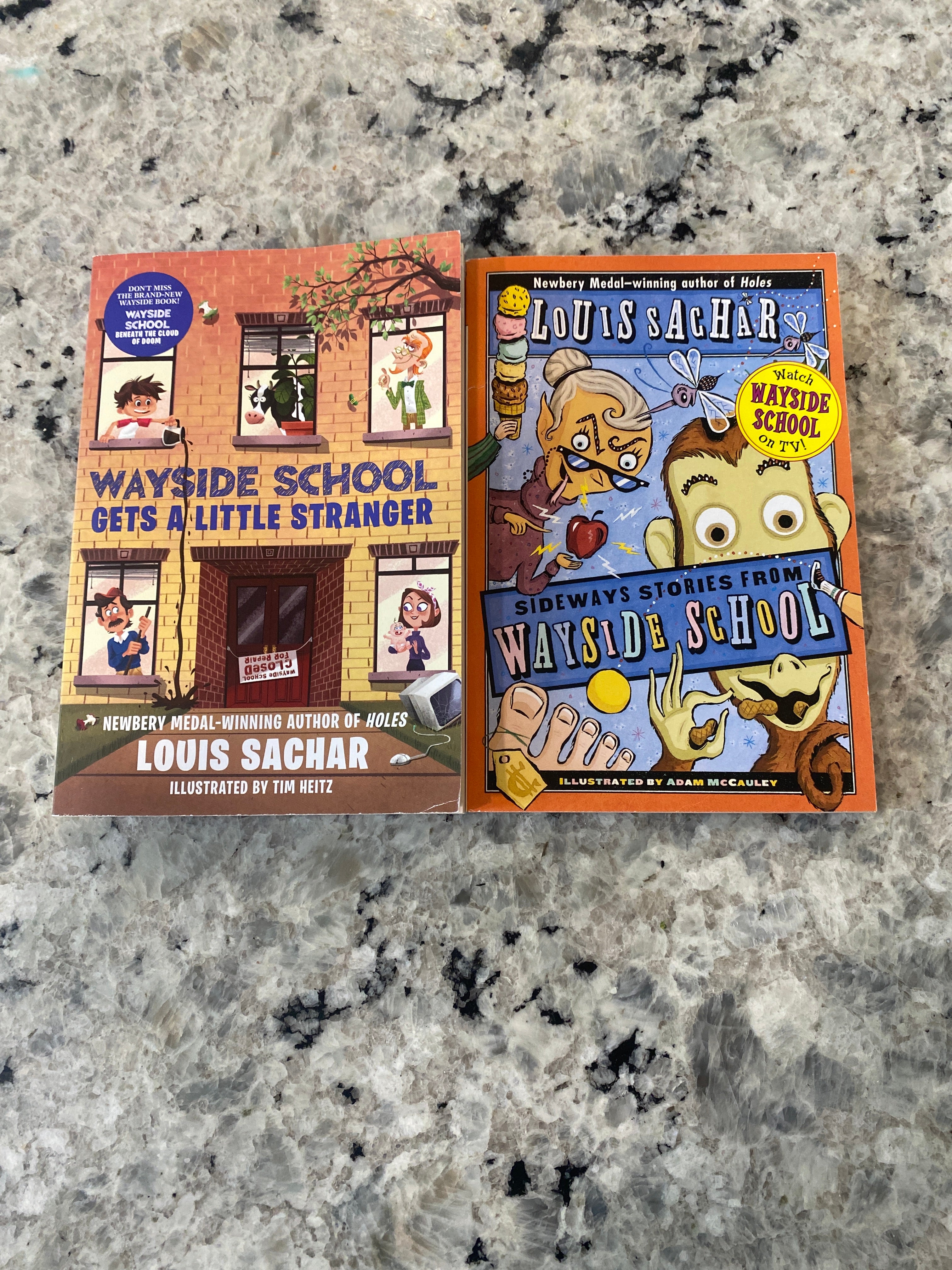 McCauley　Gets　Paperback　Louis　Wayside　by　(Illustrator),　Stranger　Adam　School　Sachar;　Little　a　Pangobooks