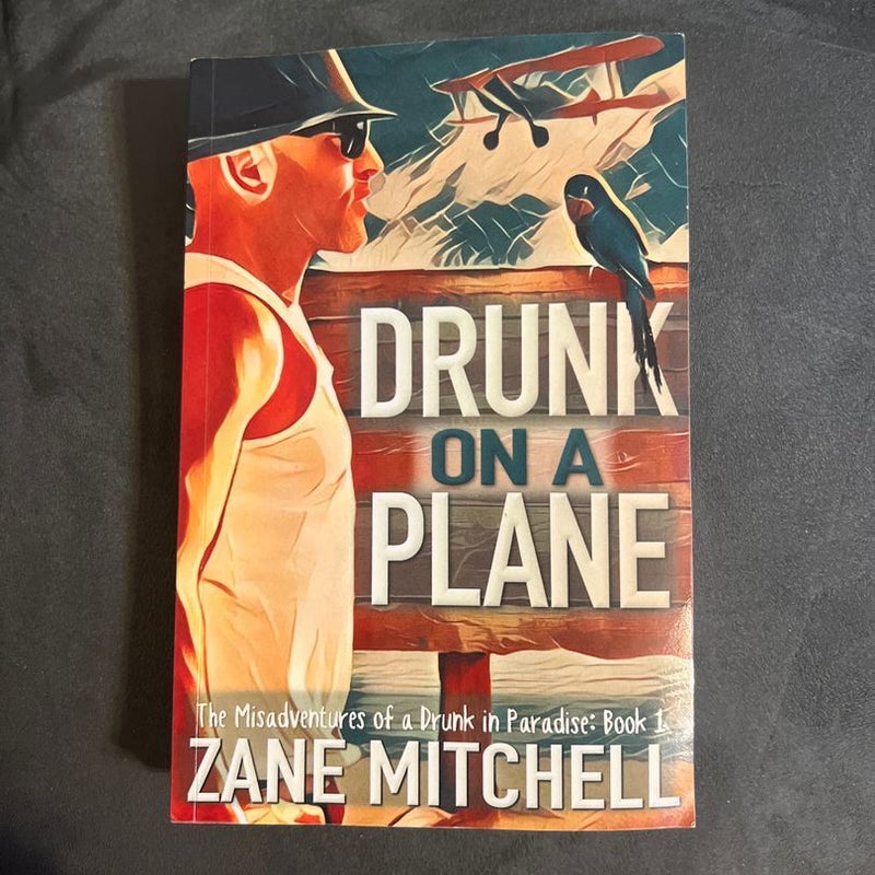 Drunk on a Plane