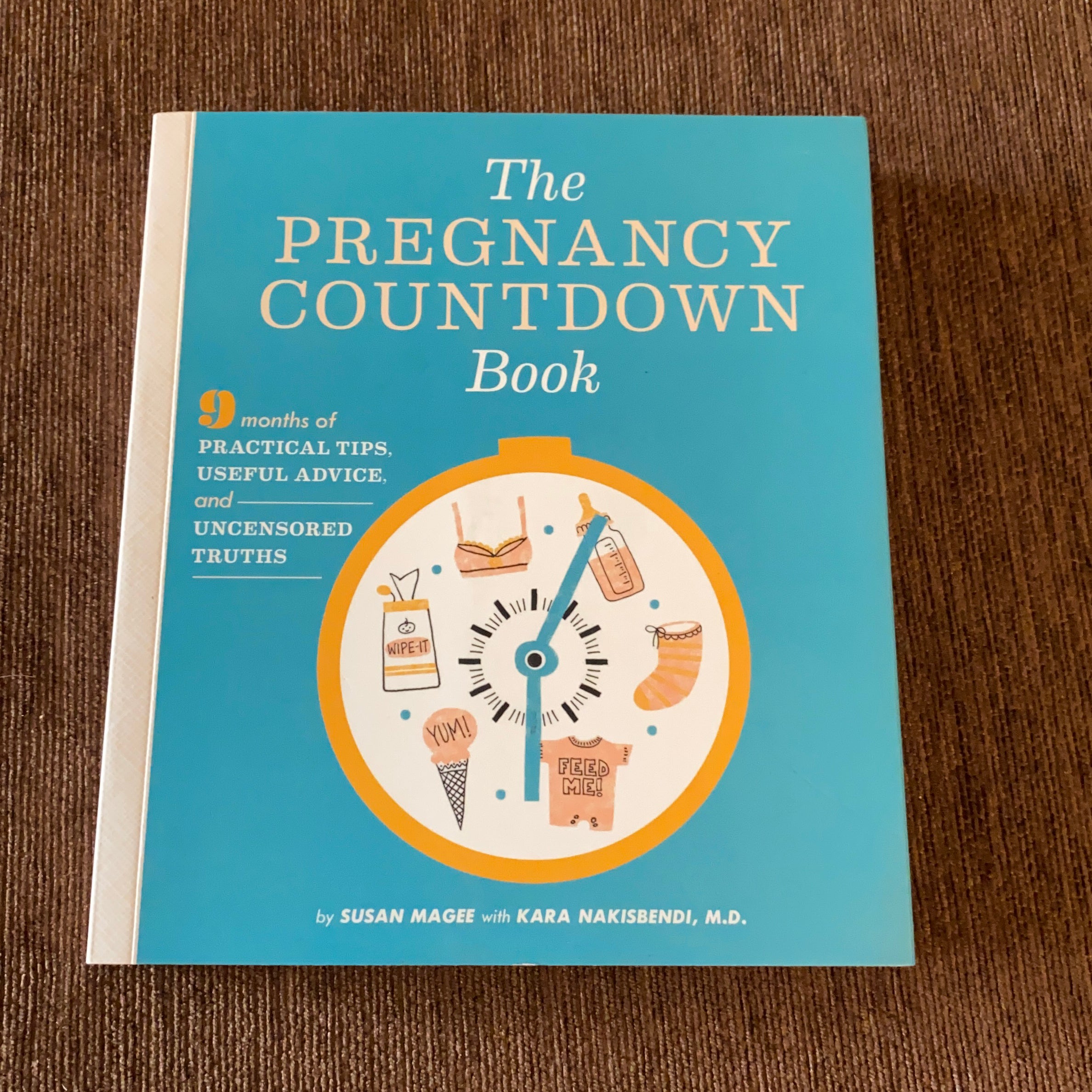 The Pregnancy Countdown Book