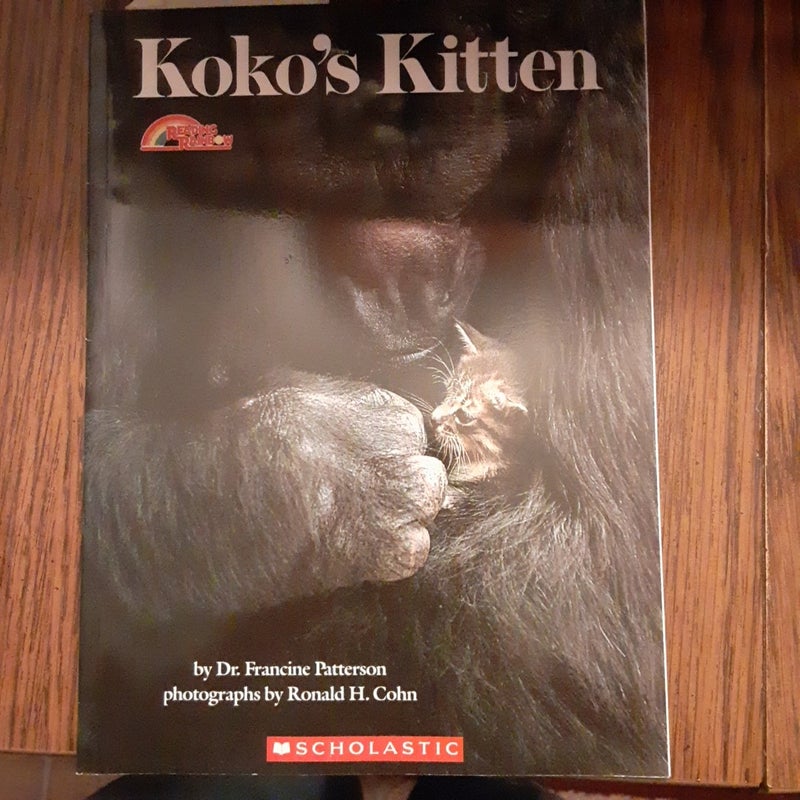 Koko's Kitten