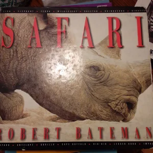 Safari