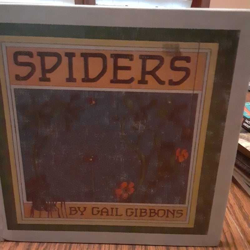 Spiders
