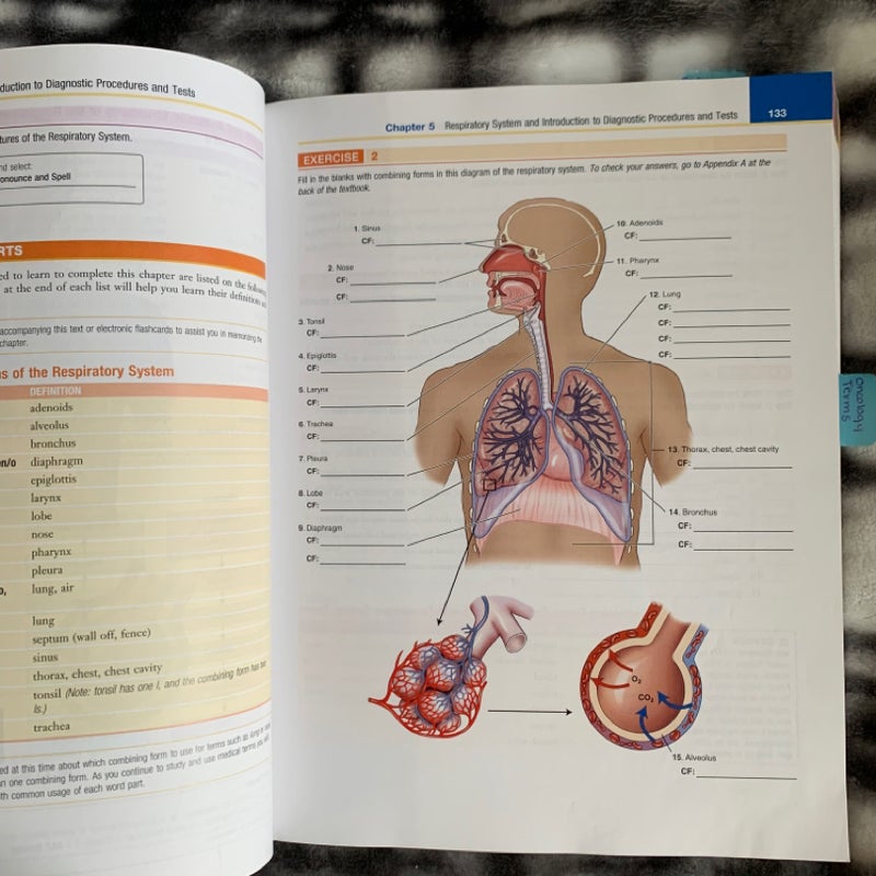 Exploring Medical Language