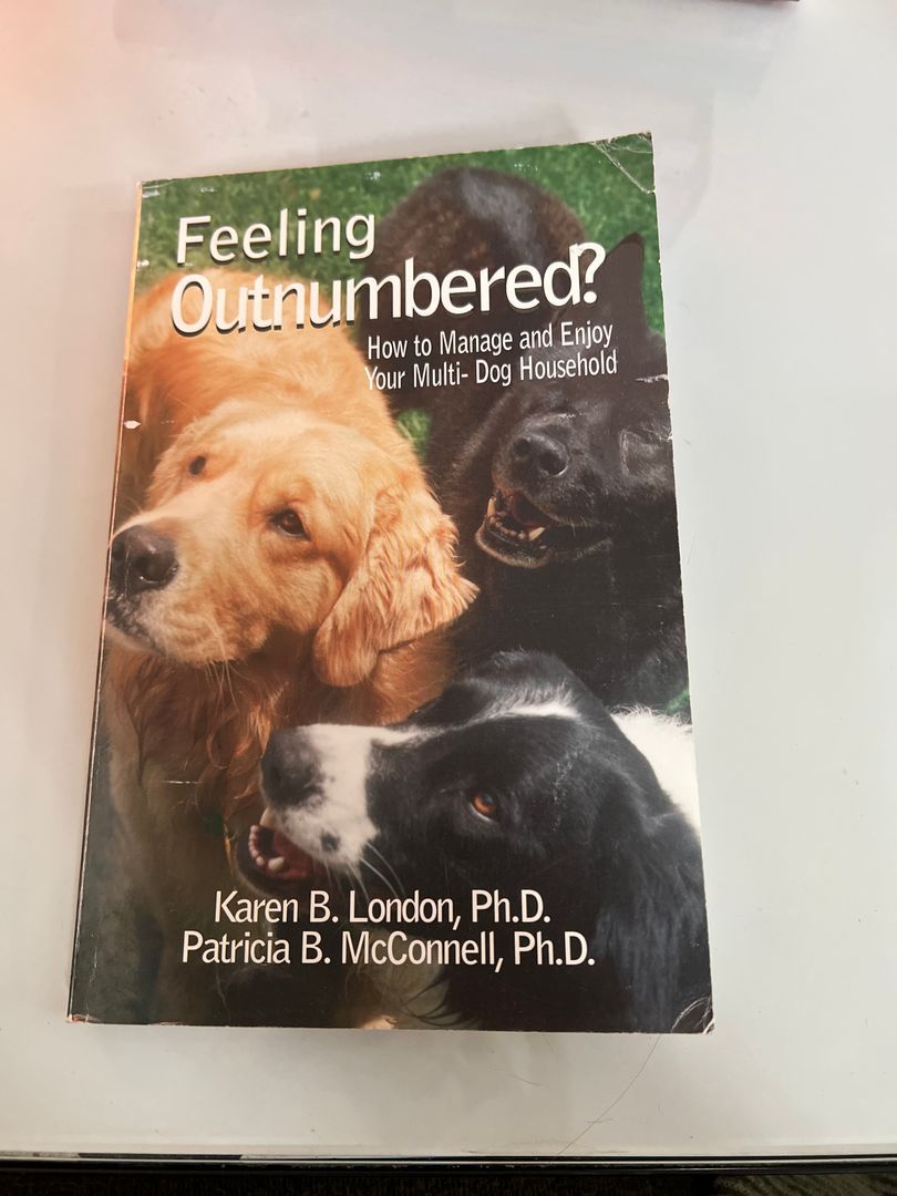 Feeling Outnumbered?