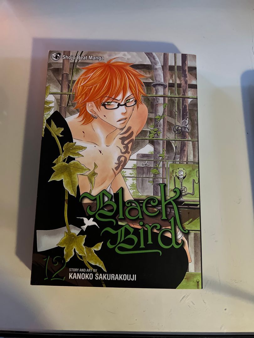 Black Bird, Vol. 12
