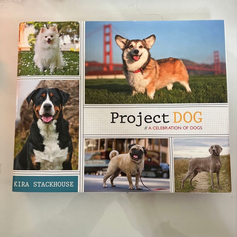 Project DOG