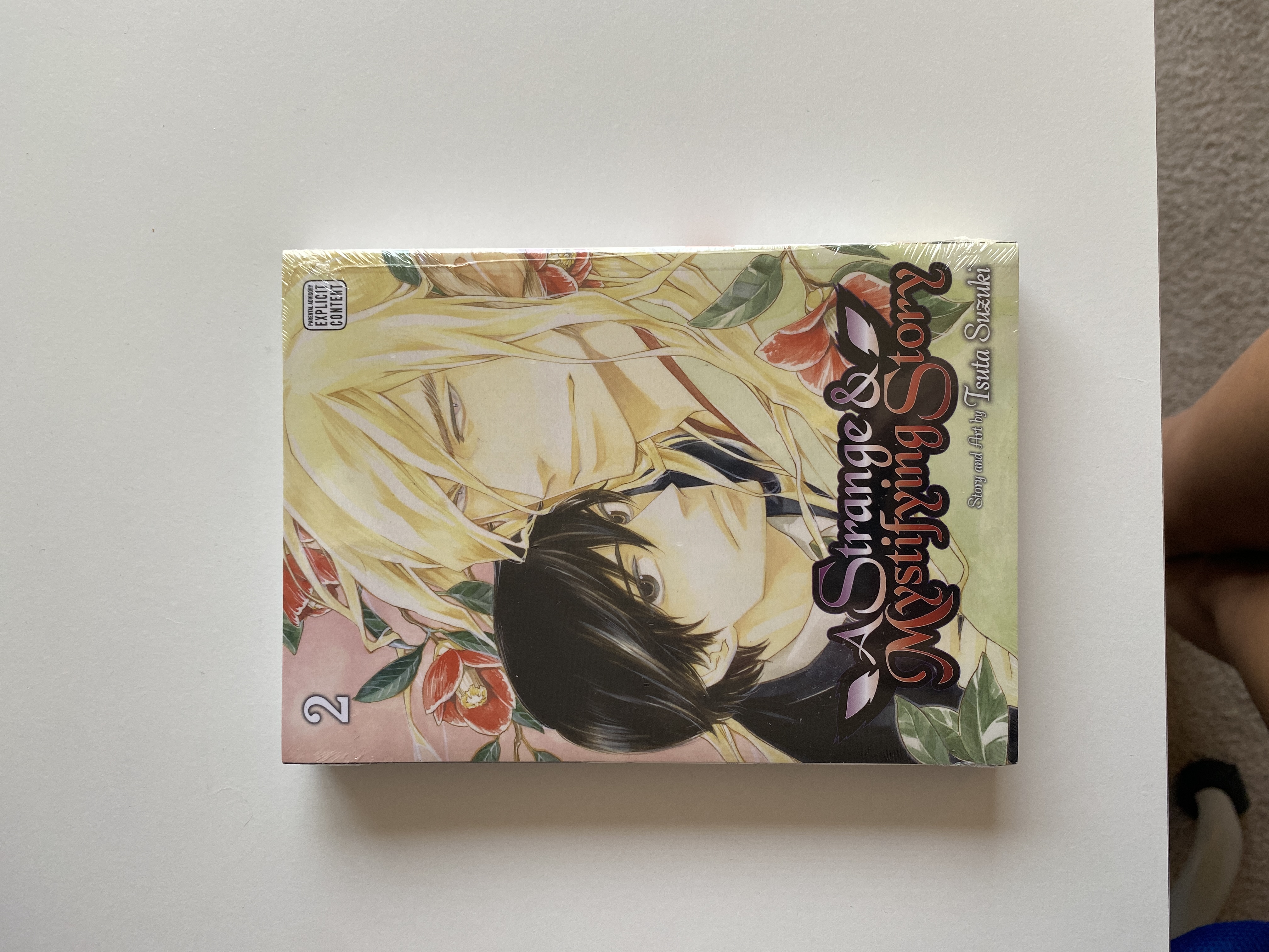 A Strange and Mystifying Story, Vol. 2