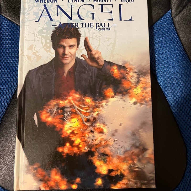 Angel: after the Fall, Vol. 4