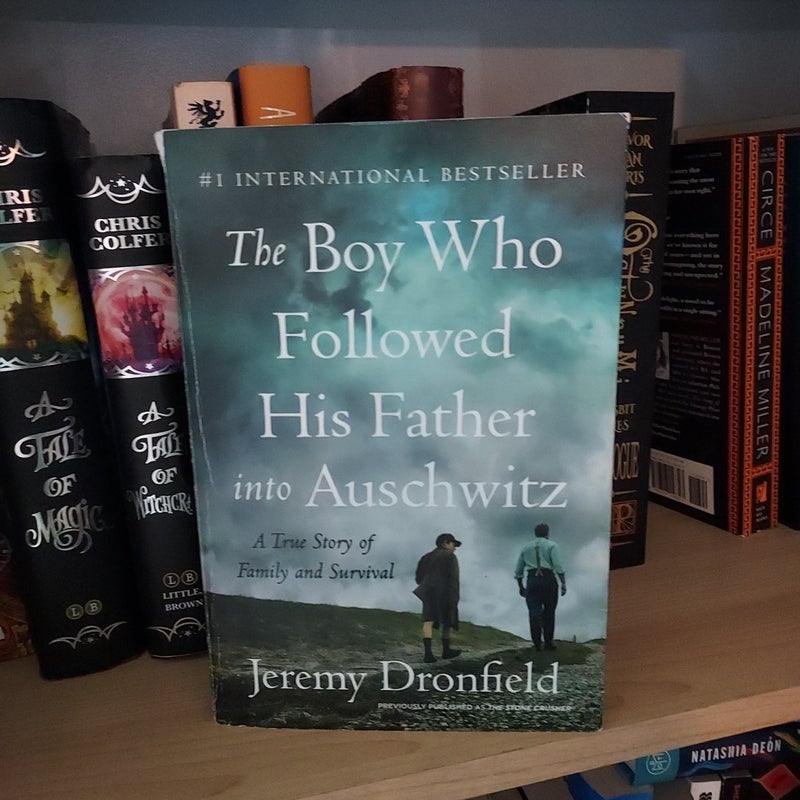 The Boy Who Followed His Father into Auschwitz