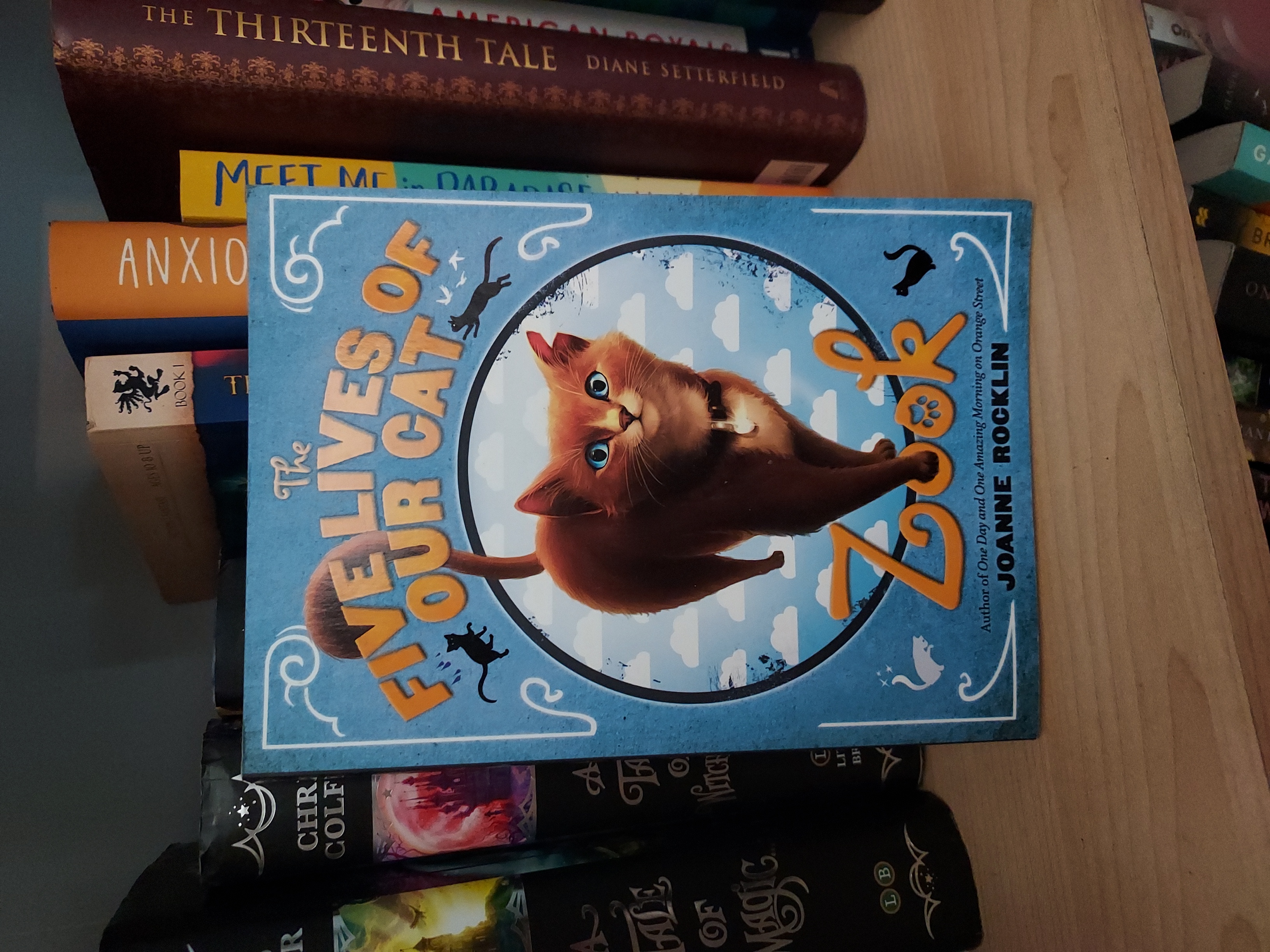 The Five Lives of Our Cat Zook