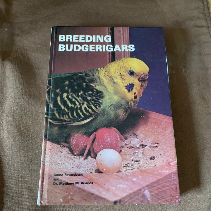 Breeding Budgerigars