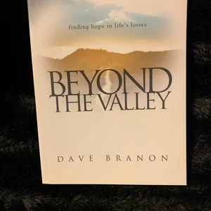 Beyond the Valley