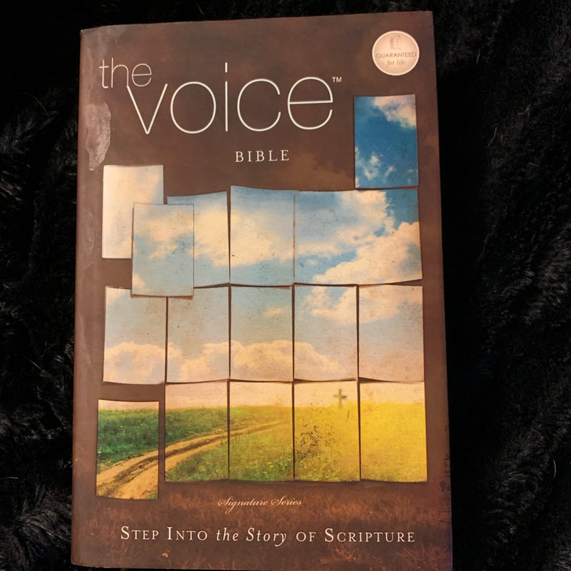 The Voice Bible