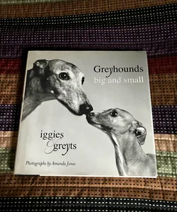 Greyhounds Big and Small