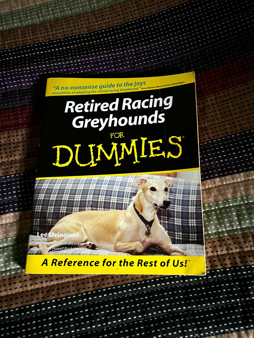 Retired Racing Greyhounds for Dummies