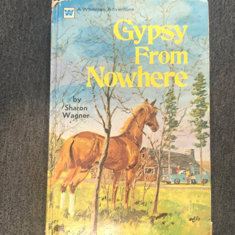 Gypsy From Nowhere 