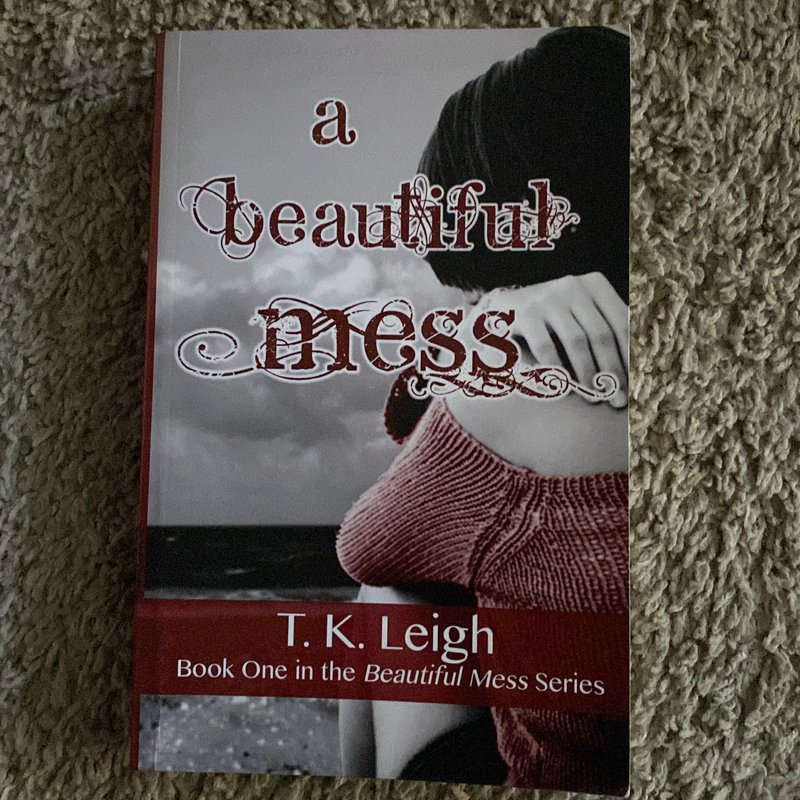 A Beautiful Mess by T. K. Leigh