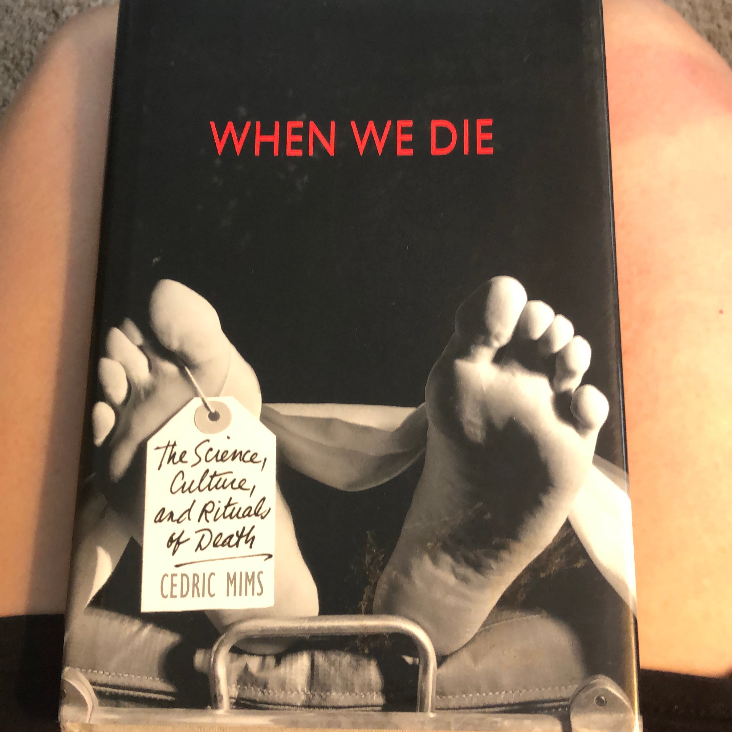 When We Die By Cedric A. Mims | Pangobooks