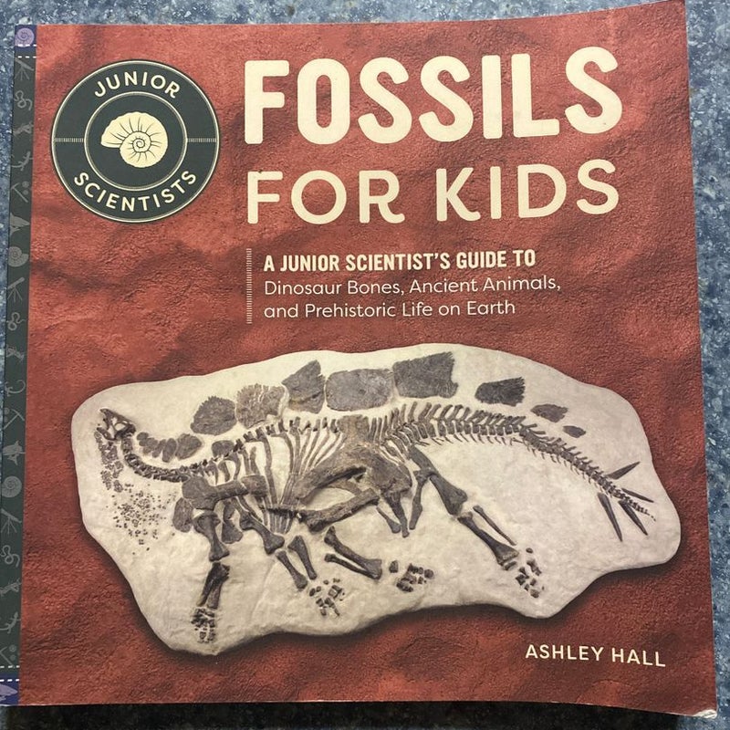 Fossils for Kids