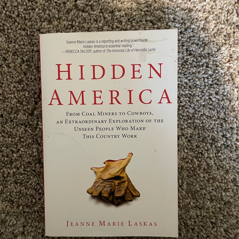 Hidden America