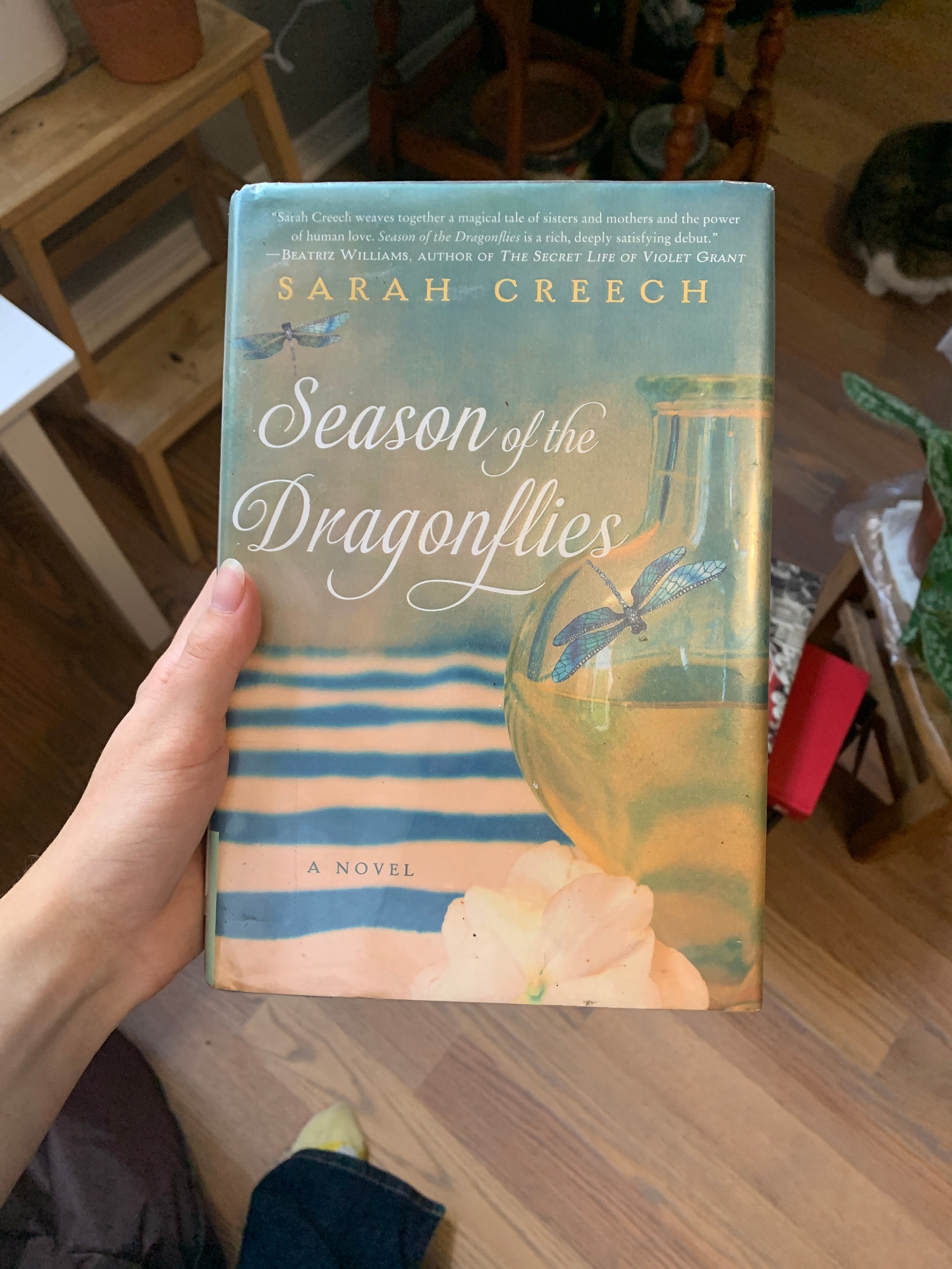 Season of the Dragonflies