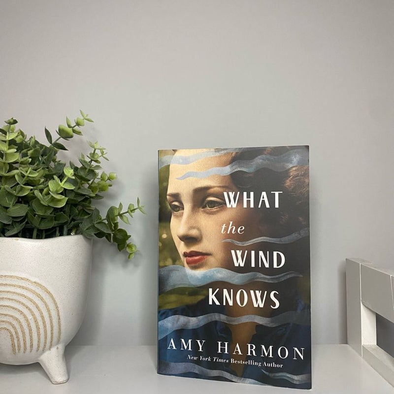 What the Wind Knows